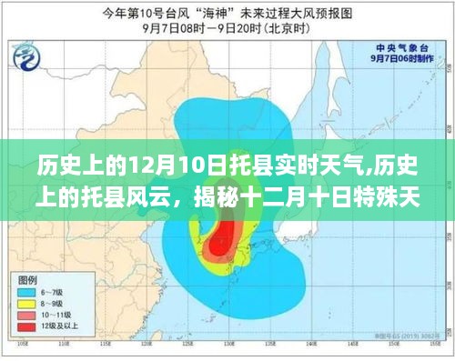 2024年12月11日 第52页