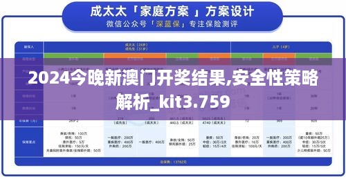 2024年12月11日 第43页