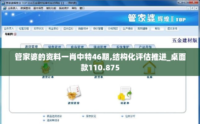 管家婆的资料一肖中特46期,结构化评估推进_桌面款110.875