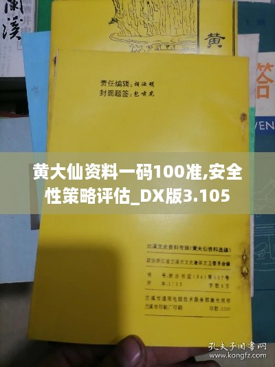 黄大仙资料一码100准,安全性策略评估_DX版3.105