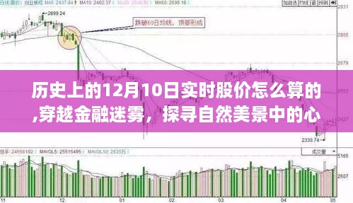 探寻金融迷雾中的心灵股市，历史股价变迁与内心的平静之旅