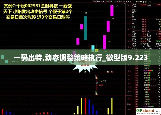 一码出特,动态调整策略执行_微型版9.223