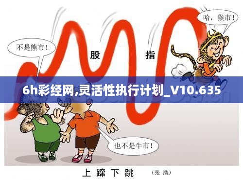 6h彩经网,灵活性执行计划_V10.635