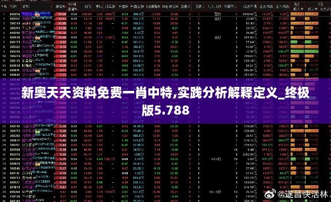 新奥天天资料免费一肖中特,实践分析解释定义_终极版5.788