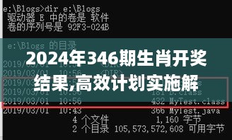 2024年346期生肖开奖结果,高效计划实施解析_Prestige2.953