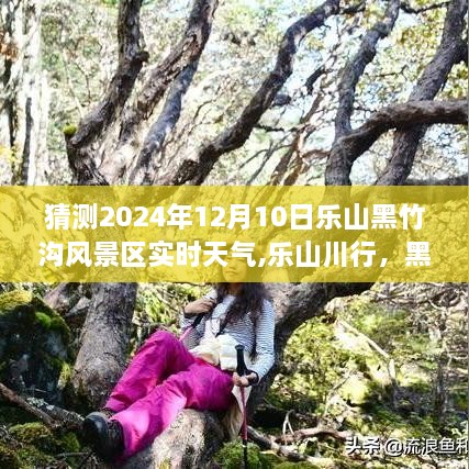 探秘乐山黑竹沟风景区，未来天气实时探秘之旅（2024年12月10日实时天气预测）