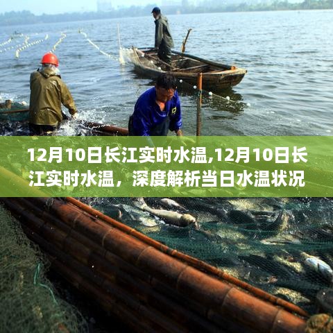 12月10日长江实时水温解析，当日水温状况及其影响因素深度探讨