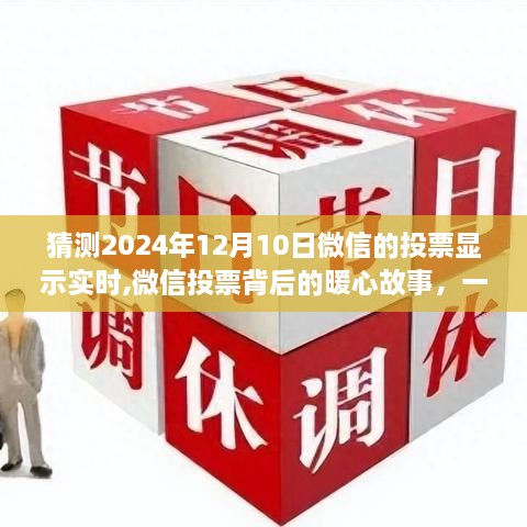 微信投票背后的暖心故事，爱与陪伴的温馨时光（实时更新至2024年12月10日）