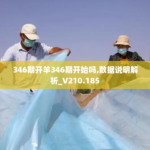 346期开羊346期开始吗,数据说明解析_V210.185