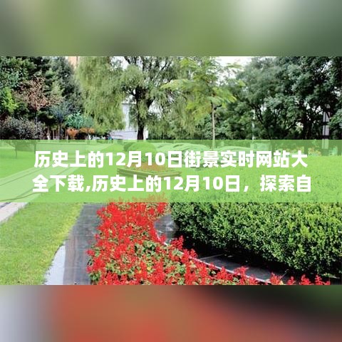 历史上的十二月十日，街景实时网站下载与自然美景探索之旅，追寻内心的宁静和平和