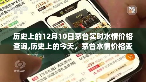 茅台水情实时价格变迁启示录，历史回溯与自信铸就之路