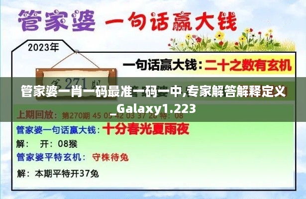 管家婆一肖一码最准一码一中,专家解答解释定义_Galaxy1.223