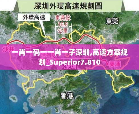 一肖一码一一肖一子深圳,高速方案规划_Superior7.810