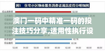 澳门一码中精准一码的投注技巧分享,适用性执行设计_增强版1.767