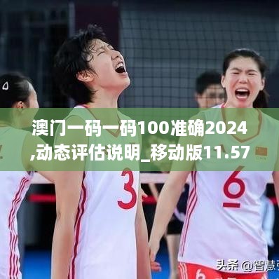 澳门一码一码100准确2024,动态评估说明_移动版11.572