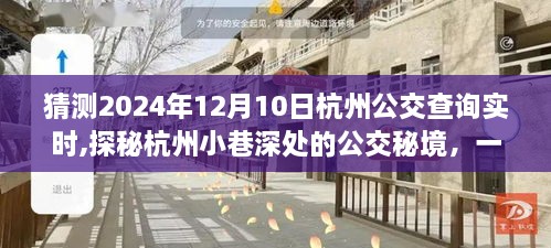 探秘杭州公交秘境与特色小店魅力，2024年12月10日杭州公交实时查询及小巷深处惊喜发现