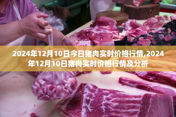 猪肉实时价格行情及分析（2024年12月10日）