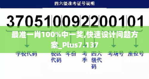 最准一肖100%中一奖,快速设计问题方案_Plus7.137