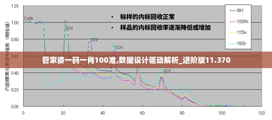 管家婆一码一肖100准,数据设计驱动解析_进阶版11.370