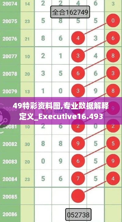 49特彩资料图,专业数据解释定义_Executive16.493