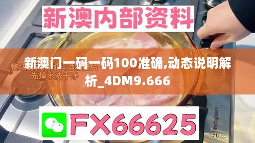 新澳门一码一码100准确,动态说明解析_4DM9.666