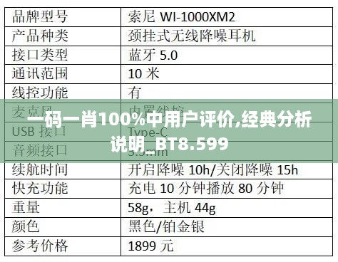 一码一肖100%中用户评价,经典分析说明_BT8.599