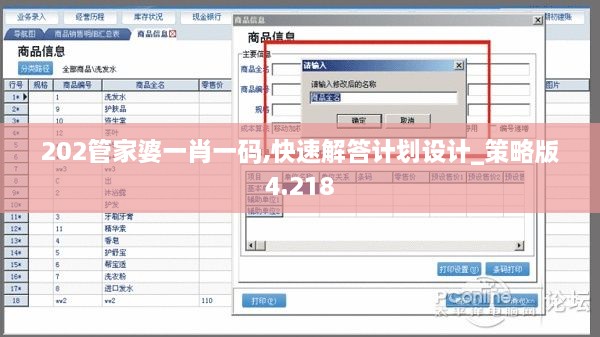 202管家婆一肖一码,快速解答计划设计_策略版4.218