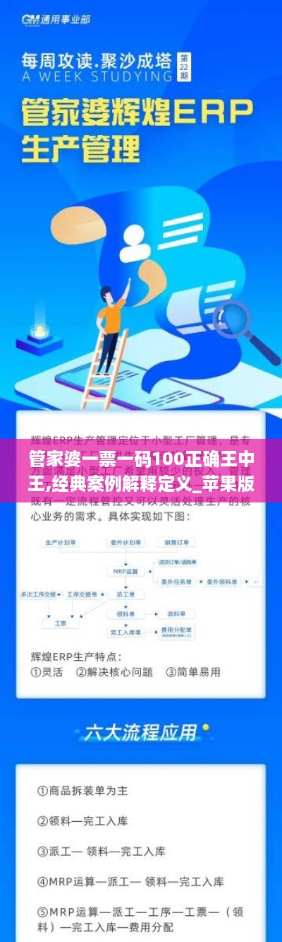 管家婆一票一码100正确王中王,经典案例解释定义_苹果版7.111