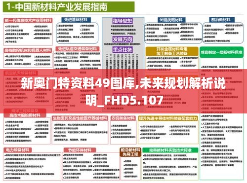 新奥门特资料49图库,未来规划解析说明_FHD5.107