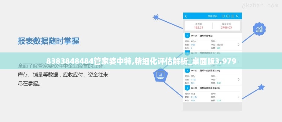 8383848484管家婆中特,精细化评估解析_桌面版3.979