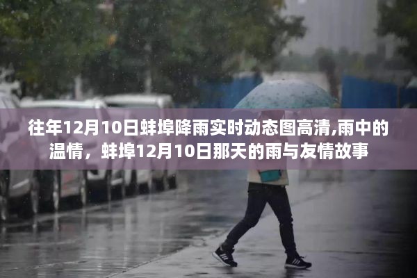 蚌埠12月10日降雨日，温情与友情的雨中故事