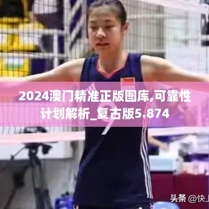 2024澳门精准正版图库,可靠性计划解析_复古版5.874