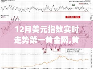 黄金网视角下的十二月美元指数实时走势深度解析与预测