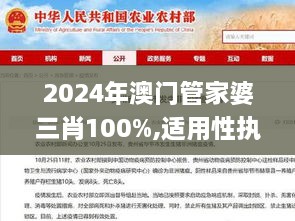 2024年澳门管家婆三肖100%,适用性执行设计_5DM8.685