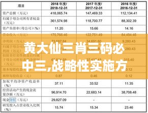 黄大仙三肖三码必中三,战略性实施方案优化_精简版10.403