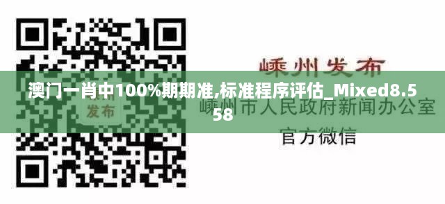 2024年12月12日 第22页