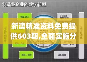 新澳精准资料免费提供603期,全面实施分析数据_影像版3.741