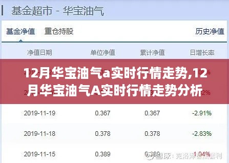 12月华宝油气A实时行情走势深度分析