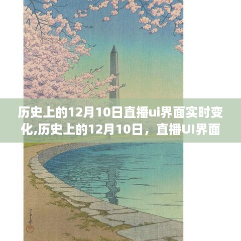 历史上的12月10日，直播UI界面的自然美景探索之旅，探寻内心的宁静与平和