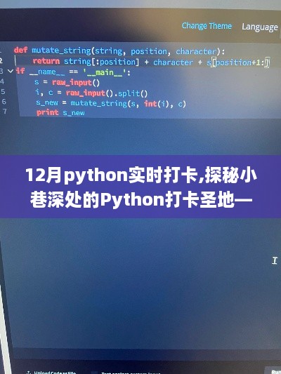 探秘小巷深处的Python编程圣地，十二月实时打卡之旅