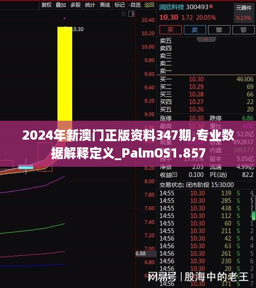 2024年新澳门正版资料347期,专业数据解释定义_PalmOS1.857