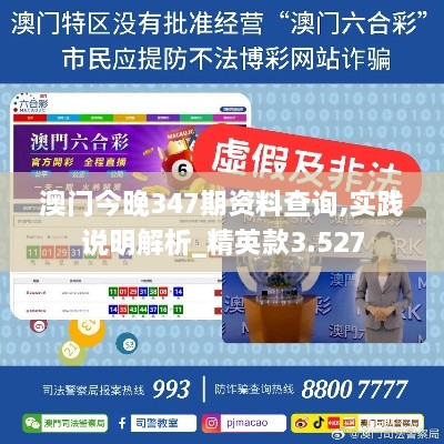 澳门今晚347期资料查询,实践说明解析_精英款3.527