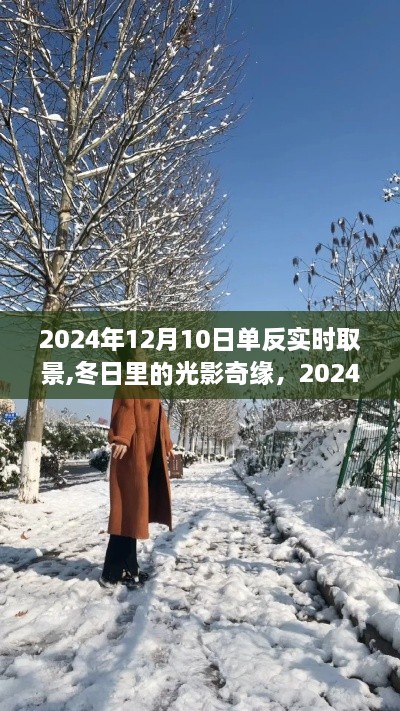 冬日光影奇缘，2024年12月10日单反实时取景纪实