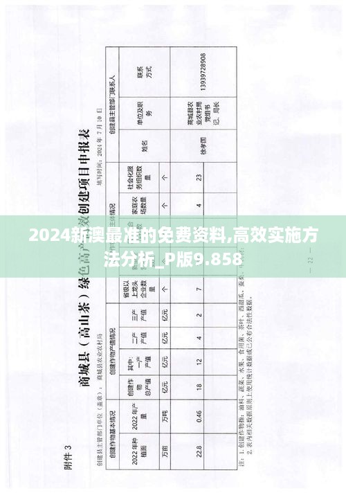 2024新澳最准的免费资料,高效实施方法分析_P版9.858