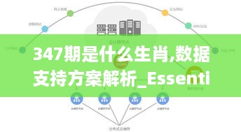 347期是什么生肖,数据支持方案解析_Essential1.173