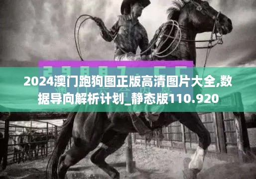 2024澳门跑狗图正版高清图片大全,数据导向解析计划_静态版110.920