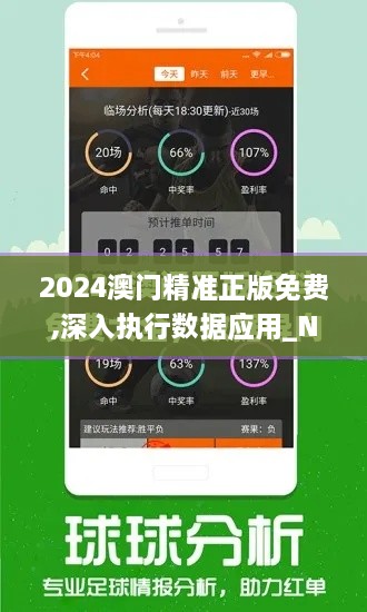 2024澳门精准正版免费,深入执行数据应用_NE版3.384