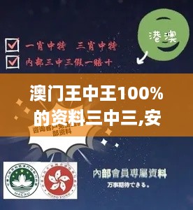 澳门王中王100%的资料三中三,安全性策略解析_精简版4.751