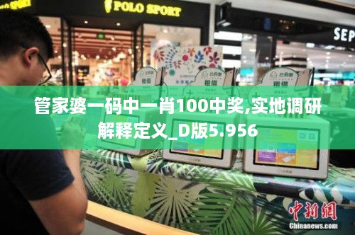 管家婆一码中一肖100中奖,实地调研解释定义_D版5.956