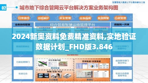 2024新奥资料免费精准资料,实地验证数据计划_FHD版3.846